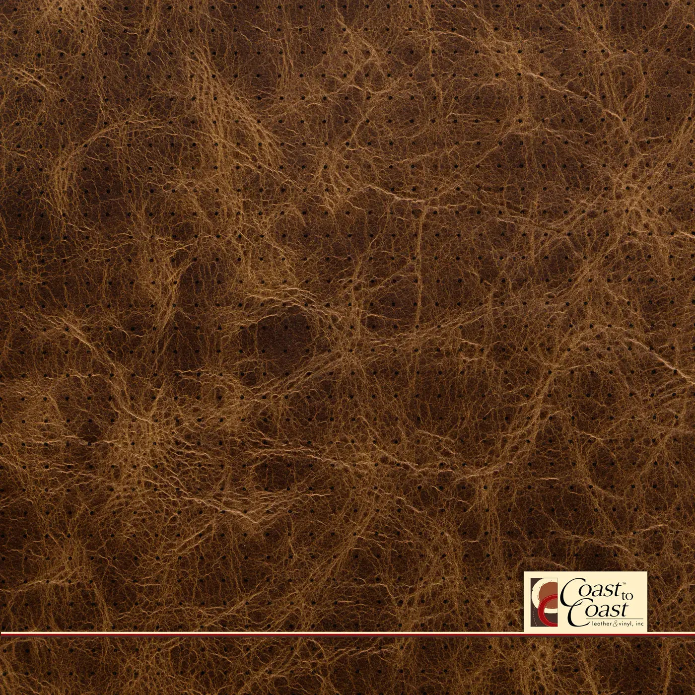 Pinecone Full Hide / Small Squared Perf (1/4In) Leather